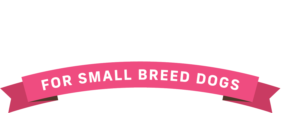Lil Plates Logo