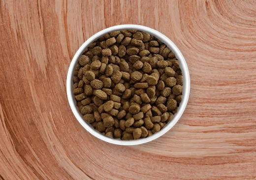 Dry Cat