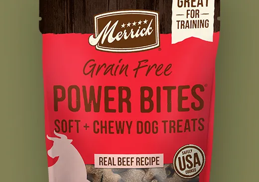 Power Bites