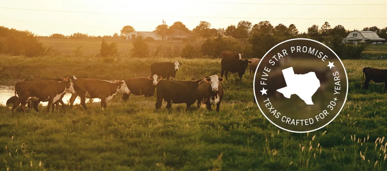farm with cows