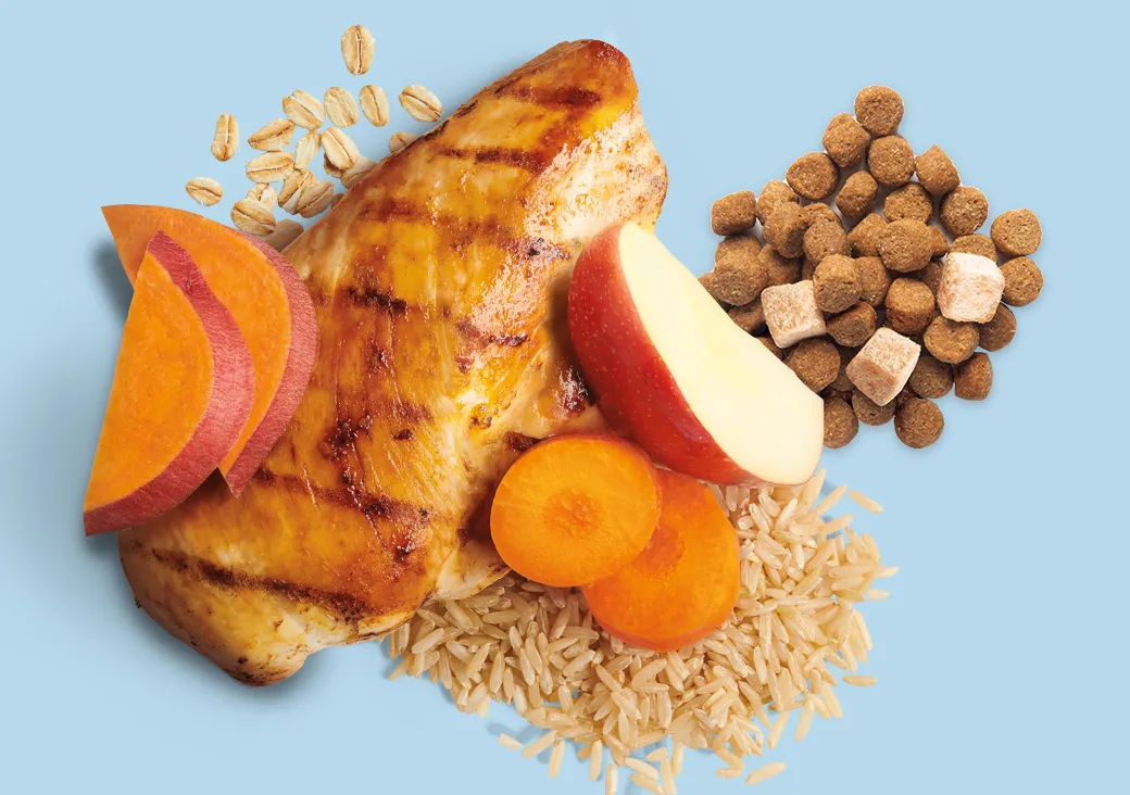 Healthy ingredients