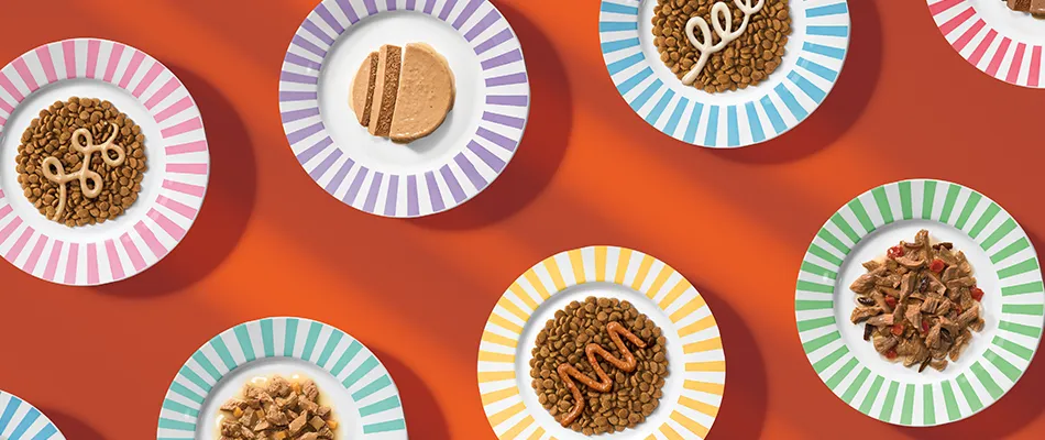 Five colorful striped plates of Purrfect Bistro products including pate, dry cat food, wet and finishing sauce on top of the dry cat food