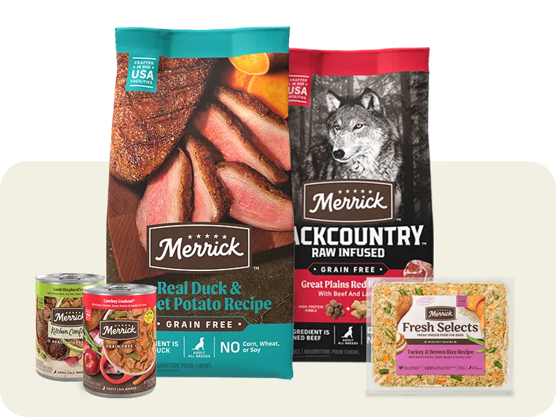 Merrick Dog food package line up