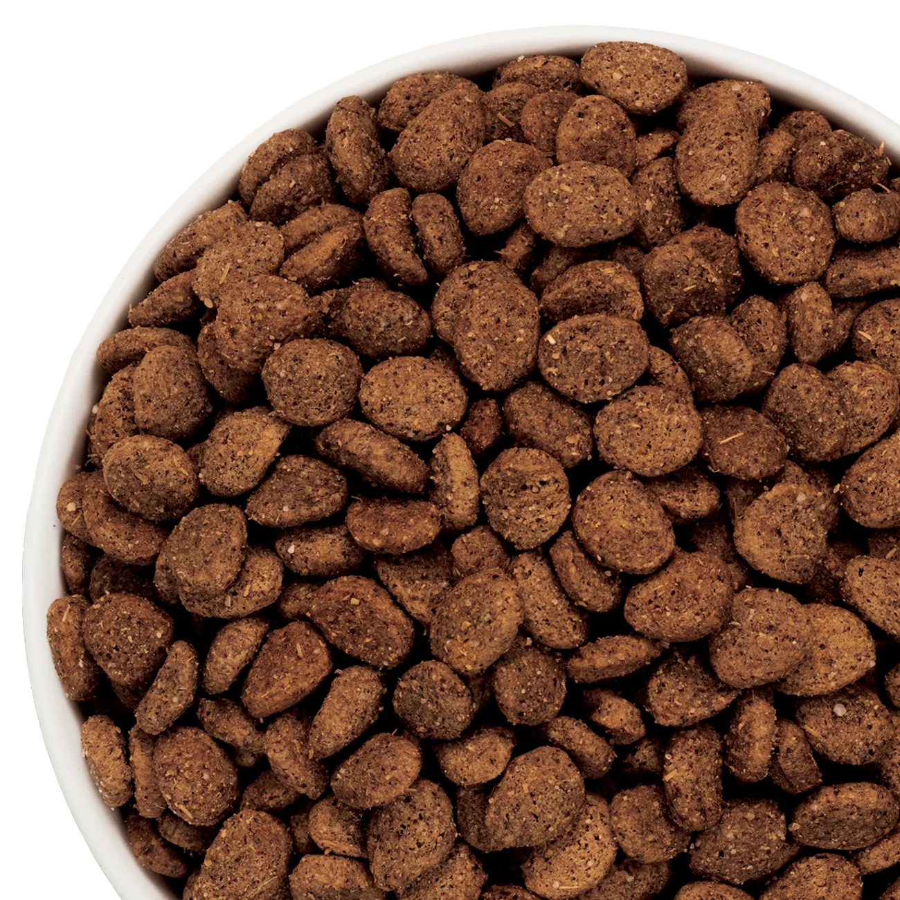 dog food kibble in bowl