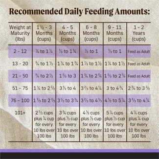 FEED