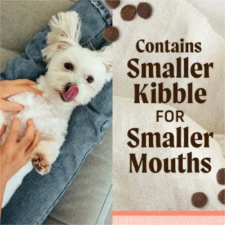 On the left, a dog lays on its back on a person's lap; To the right, bit of kibble are scattered throughout the page with the text "Contains smaller kibble for smaller mouths"