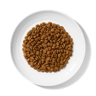 Merrick Purrfect Bistro Grain Free Savory Chicken and Sweet Potato Recipe Dry Cat Food product