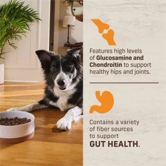 Features high levels of Glucosamine and Chondroitin to support healthy his and joints. Contains a variety of fiber sources to support gut health.