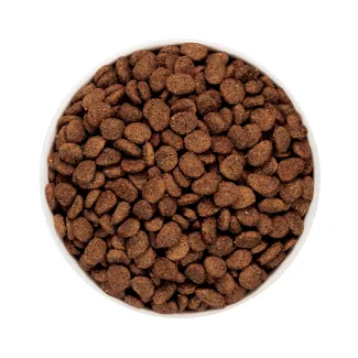 Merrick Kitchen Comforts Real Lamb and Brown Rice Recipe kibble in a white bowl.