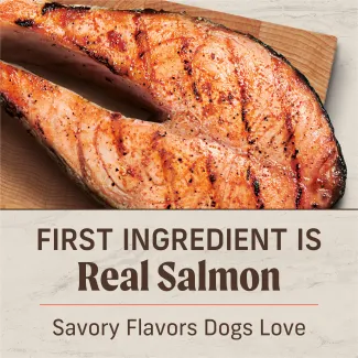 First Ingredient is real salmon. Savory flavors dogs love.