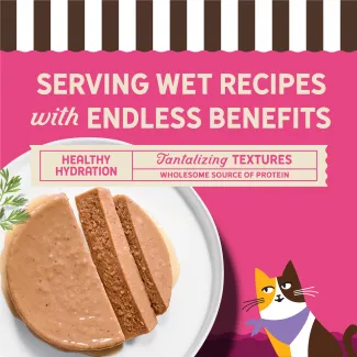 Serving wet recipes with endless benefits.