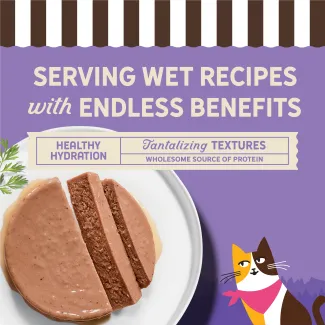 Serving wet recipes with endless benefits.